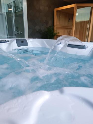 a bath tub filled with water with a dolphin in it at Fragas do Cabril Eco & Wellness Lodge in Lousã