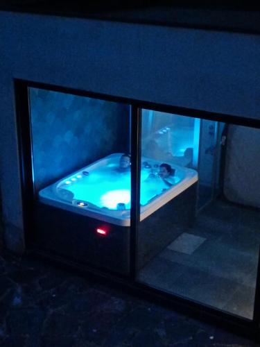 a aquarium with a fish in a dark room at Fragas do Cabril Eco & Wellness Lodge in Lousã