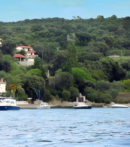 Apartment Supetarska Draga 26