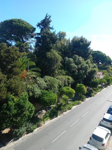 Location t2 plein centre vue nature