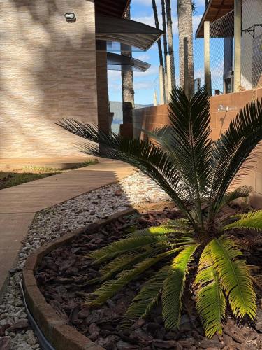 a palm tree in front of a house at Chalé Portal Villas 03 in Monte Verde