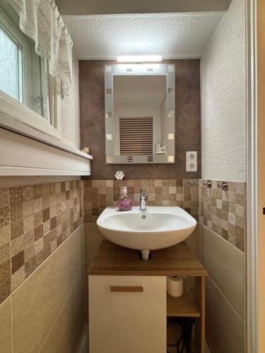 a bathroom with a sink and a mirror at Ferienhaus am See 