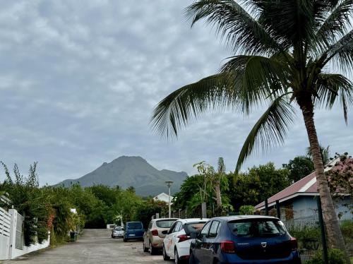 a palm tree next to a parking lot with a mountain at Villa Ti Sable - Escale entre mer et nature in Saint-Pierre