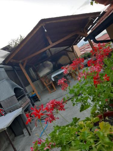 Taman di luar CASA DALYS