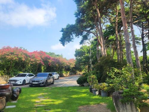 two cars parked on the side of a road with trees at Unyujae Hanok Pension in Yeongam