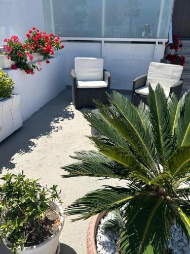 a patio with two chairs and a palm tree at SoleeMare Barletta in Barletta