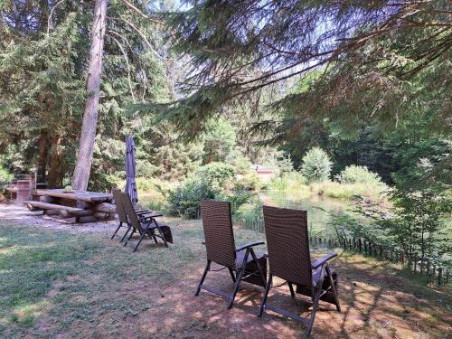 Zahrada ubytování Apartment in Alsace with Nature Retreat