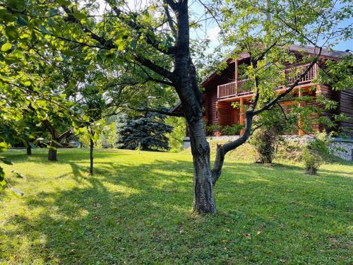 Taman di luar Pine River Dobrenica - Private 4000 m2 Riverside Estate