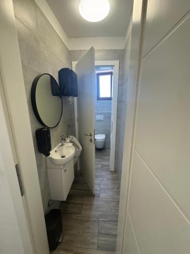 a bathroom with a sink and a mirror and a toilet at APARTMENTS Suzy in Tisno