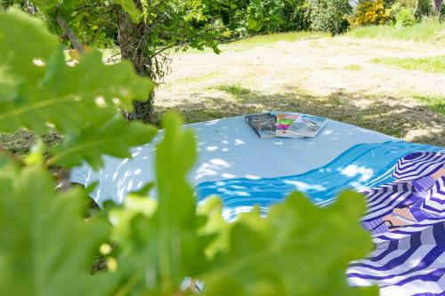 Κήπος έξω από το Gîte Jean Montet, piscine chauffée partagée, Wifi, salle de jeux, animaux de la ferme