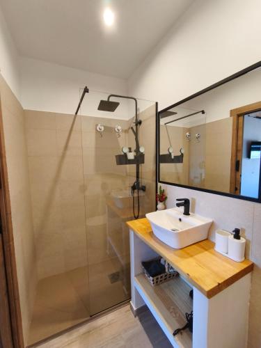 a bathroom with a sink and a shower at La Cabaña27 in La Alberca
