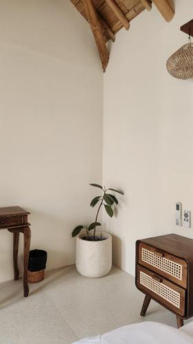 a bedroom with a potted plant and a table at Tipsea Turtle Gili Air in Gili Air