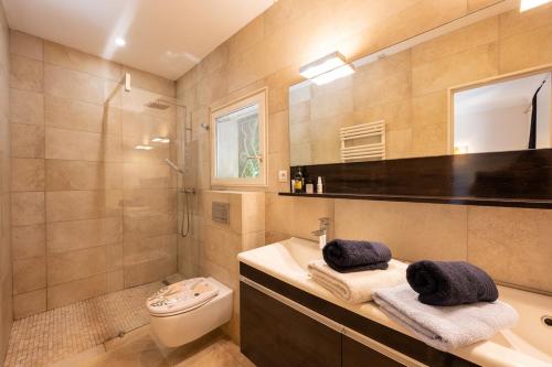 une salle de bain avec un lavabo, des toilettes et une douche dans l'établissement La Maison du Jardin de Gassin Piscine, Calme et nature, à Gassin