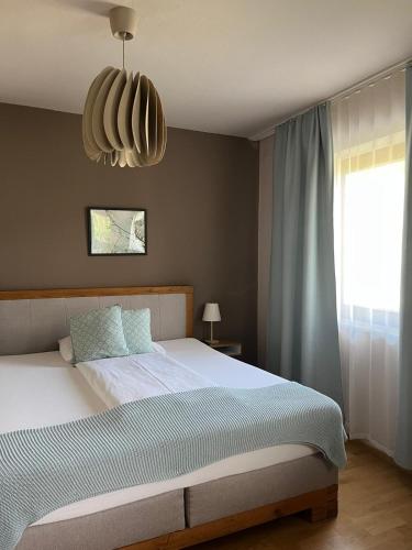 a bedroom with a large bed and a large window at Der Schumi Landgasthof in Reipersdorf