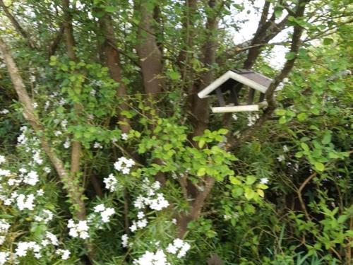 a bird house in a tree with flowers at Évasion à Luzillé : Havre de Paix avec Jardin Privatif, proche Chenonceau et Beauval - FR-1-381-303 in Luzillé