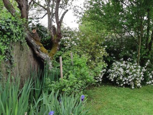 a garden with a tree and some flowers at Évasion à Luzillé : Havre de Paix avec Jardin Privatif, proche Chenonceau et Beauval - FR-1-381-303 in Luzillé