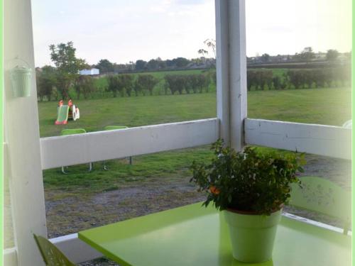 Charmants chalets au bord du lac avec terrasse, activités nautiques et pêche, animaux acceptés, tout inclus - FR-1-489-361