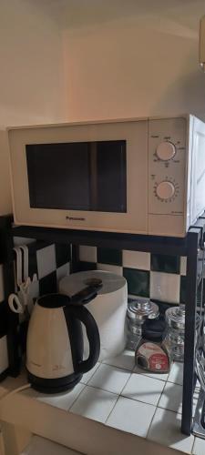 Un microondas colocado encima de una encimera de cocina. en Bobohouse, en Florencia