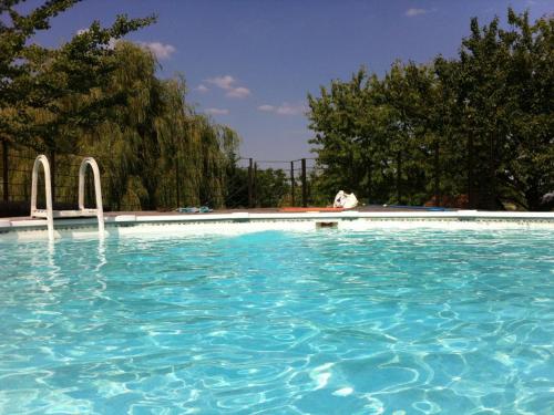 un chien est assis dans une piscine dans l'établissement Chalet familial avec piscine, jardin et activités près du vignoble de Saint-Pourçain - FR-1-489-151, à Louchy-Montfand