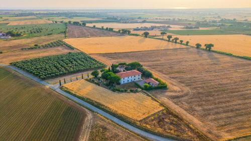 een luchtbeeld van een huis in het midden van een veld bij Agriturismo I Debbi in Bibbona