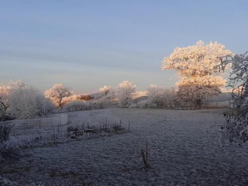 a field covered in snow with trees in the background at Refuge familial avec piscine, aire de jeux et confort moderne à Blomard - FR-1-489-465 in Blomard