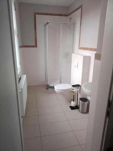 a white bathroom with a shower and a toilet at Schloßpension Hummelshain in Hummelshain