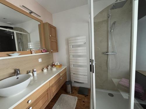 a bathroom with a sink and a glass shower at Gîte de charme à Souvigny avec jardin et animaux acceptés - FR-1-489-583 in Souvigny