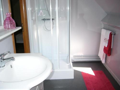 un bagno bianco con doccia e lavandino di Maison individuelle à Contres avec piscine partagée - FR-1-491-465 a Le Controis En Sologne