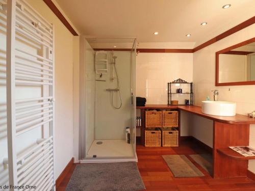 a bathroom with a shower and a sink at Maison de charme avec cheminée au cœur du Parc Naturel du Perche - FR-1-497-235 in Loisail