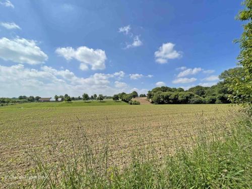 a large field of grass with a blue sky at Maison en Pierre avec Jardin, Séances Bien-Être et Activités Nature - Pays du Poiré, Normandie - FR-1-497-208 in Mantilly