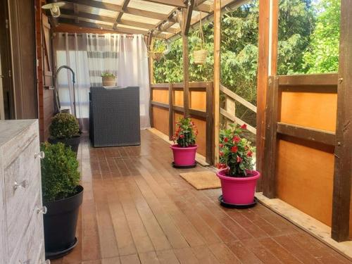 a porch with four pots of plants on it at Chalet familial avec terrasse et étang sécurisé, au cœur du parc naturel de l'Avesnois - FR-1-510-198 in Floyon