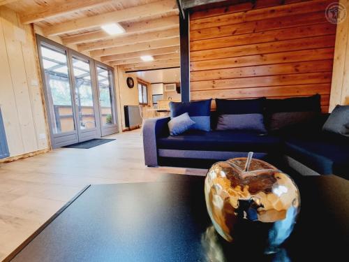 a living room with a couch and a large doughnut on the floor at Chalet familial avec terrasse et étang sécurisé, au cœur du parc naturel de l'Avesnois - FR-1-510-198 in Floyon
