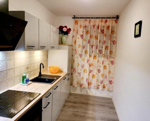 Η κουζίνα ή μικρή κουζίνα στο Schonach 2units, mountain-Top in forest, free parking, new kitchen, renovated bathroom, high-speed internet