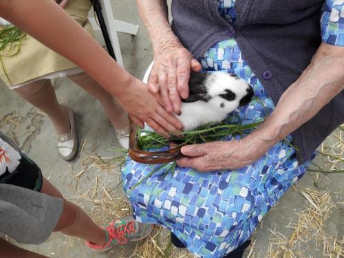 a person holding a baby lamb in their lap at Gîte Rustique avec Terrasse, Jardin Privatif et Visite de Ferme à Vêtre-sur-Anzon - FR-1-496-290 in Saint-Julien-la-Vêtre