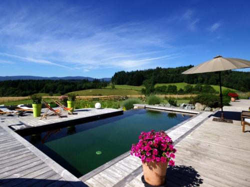 - une piscine avec une plante en pot et un parasol dans l'établissement Gîte en bois avec piscine naturelle, 3 chambres avec terrasses privatives - FR-1-496-258, à Champoly