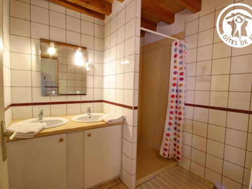 un bagno con lavandino, specchio e doccia di Gîtes de charme en pierre, animaux acceptés, jusqu'à 12 pers - FR-1-496-360 a Saint-Didier-sur-Rochefort