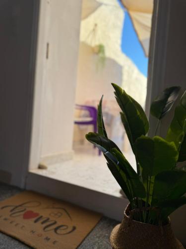KalamotiにあるEliaのギャラリーの写真