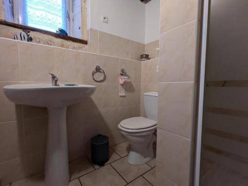 a bathroom with a sink and a toilet and a window at Gîte spacieux avec piscine chauffée, jardin, WIFI et animaux admis - FR-1-653-273 in Angeduc