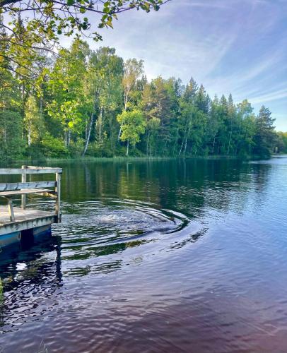 a bench sitting on the edge of a lake at Off-Grid Cabin In Your Private Swedish Forest in Simlångsdalen