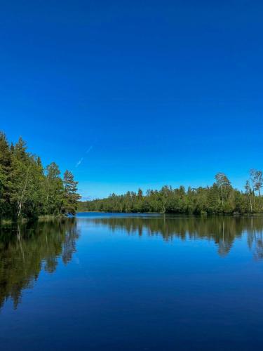 a large blue lake with trees on the shore at Off-Grid Cabin In Your Private Swedish Forest in Simlångsdalen