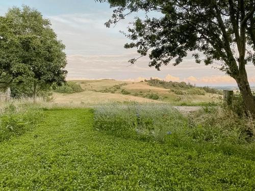 a field of green grass with a tree and the ocean at Artist's House With Soul Near Hanklit in Flade