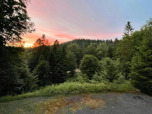 a sunset over a forest of trees in a field at Wooden House With Nature Views Near Silkeborg in Silkeborg