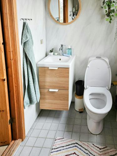 a bathroom with a toilet and a sink and a mirror at Holiday Home With Two Annexes Near The Sejerø Bay in Høve