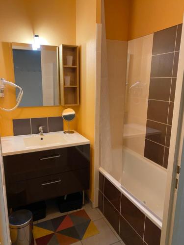 un baño con lavabo y ducha en T2 tout confort Ax les thermes, en Ax-les-Thermes