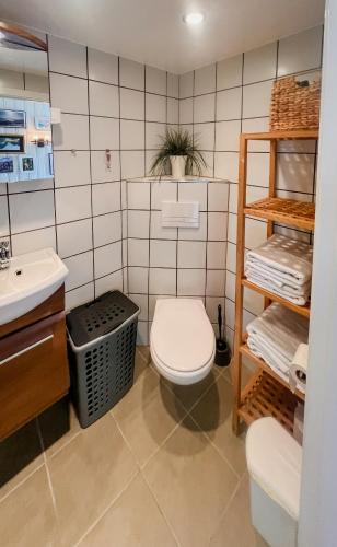une salle de bains avec toilettes et lavabo dans l'établissement Northern Lights At Stetind Fishermans Cabin, à Storjord I Tysfjord