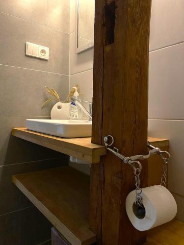 RažiceにあるRodinná Farma Humňanyの洗面台に鎖でつながれたトイレのある浴室
