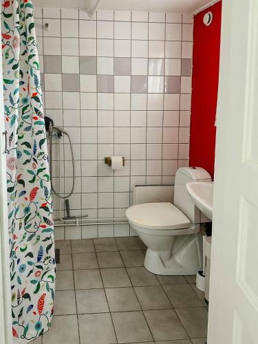 a bathroom with a toilet and a sink at Traditional Red House By The Lake In Småland in Åby