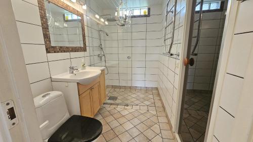 SvanesundにあるLarge house with sauna, playground and close to the beach in Svanesundの洗面台、トイレ、鏡のあるバスルーム