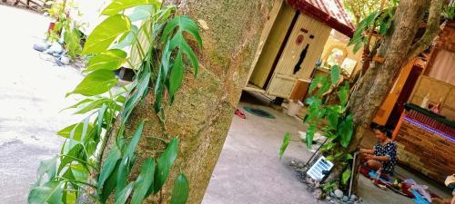 a young boy sitting on a bench in front of a house at PINOY YOGA POLE PIYOPO LA UNION fan kubo 4 pax in Rimus
