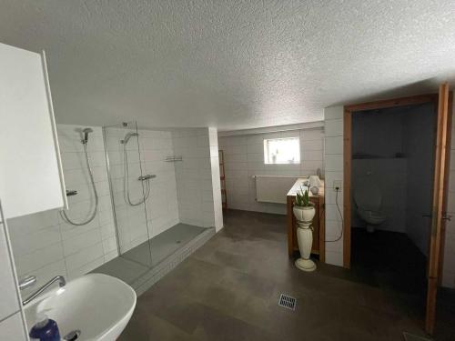 a bathroom with a shower and a sink and a toilet at Ferienwohnungen Familie Mickley in Behrenhoff